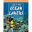 Life in the Ocean Layers: Level 4 (Mathematics Readers) John Lockyer