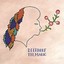 The Magic von Deerhoof | CD
