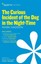 Curious Incident of the Dog in the Night-time by Spark Notes (Paperback, 2014)