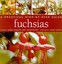 Fuchsias: A Practical Step-by-step Guide by Carol Gubler.