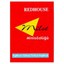 The Redhouse Mini English-Turkish & Turkish-English Pocket Dictionary (Milet Red