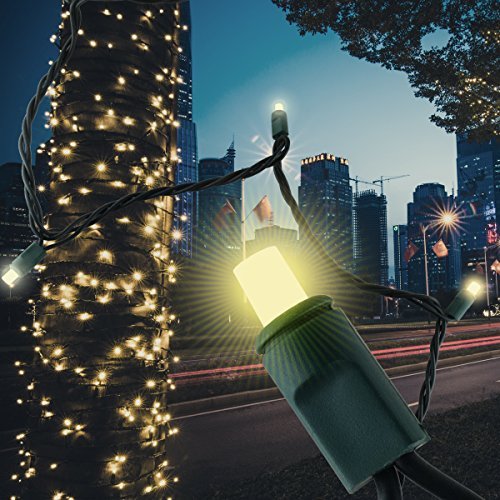 Kingdom Ll 50 Led Bulb String Lights Plug In Outdoor Party Kingdom Ll 50 Led Bulb String Lights Plug In Outdoor Party Patio