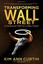 Transforming Wall Street: A Conscious Path for a New Future by Kim Ann Curtin