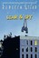 Liar & Spy by Rebecca Stead.