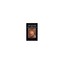 The Letters of D. H. Lawrence: Volume 5 March 1924-March 1927 Lawrence, D. H./ B