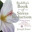 Buddha's Book of Stress Reduction: Finding Serenity and Peace with Mindfulness