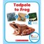 Tadpole to Frog (Rookie Read-About Science) - Library Binding NEW Lisa M. Herrin
