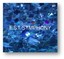 Dan Berglund / Magnus Öström / Hans Ek / - E.S.T.Symphony Vinyl LP (2) Act NEU