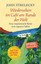 Wiedersehen im Café am Rande der Welt ~ John Strelecky ~ 9783423260732