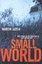 Small World by Martin Suter.