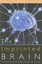 The Imprinted Brain: How Genes Set the Balance Between Autism and Psychosis.