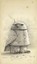 Shaun Tan Notebook - Snow Owl (Grey) by Shaun Tan.