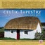Mike Jason - Celtic Tapestry: Contemporary & Traditional