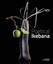 Poetical Ikebana by Mit Ingelaere-Brand.