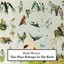 This Place Belongs To The Birds, 1 Audio-CD
