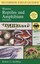 A Field Guide to Western Reptiles and Amphibians by Robert C Stebbins...
