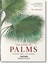 Martius: The Book of Palms by H. Walter Lack.