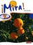 Mira 2 Pupil Book (Mira) by Anneli McLachlan.