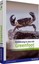 Einführung in Java mit Greenfoot von Michael Kölling (Buch) NEU