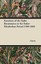 Furniture of the Tudor Renaissance or the Tudor-Elizabethan Perio by Anon