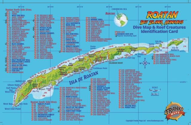 Mahogany Bay Roatan Map