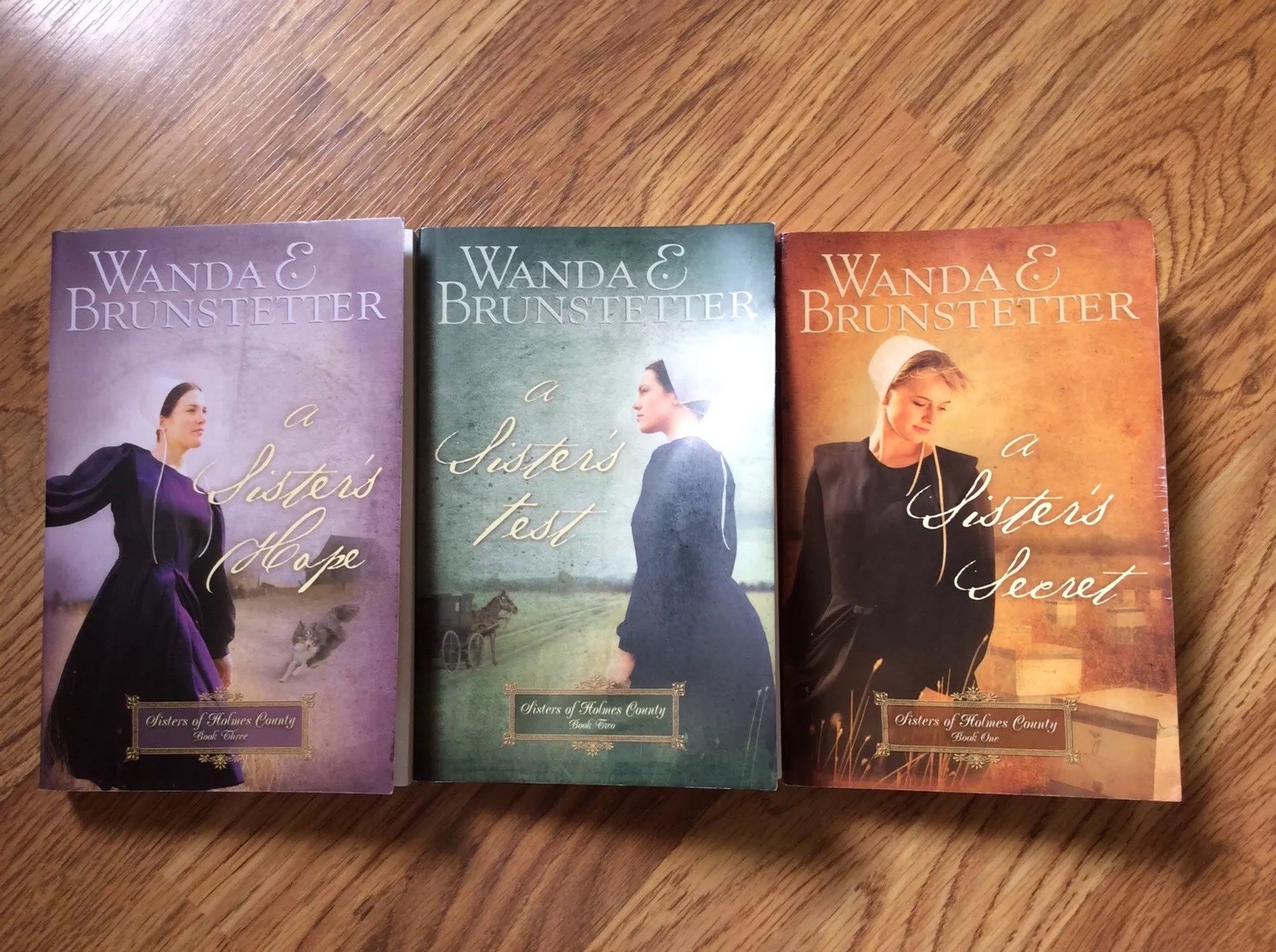 Sisters Of Holmes County Omnibus By Wanda E Brunstetter 2009 Hardcover Sisters Of Holmes County Omnibus By Wanda E Brunstetter 2009 Hardcover