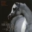 The Arabian Horse of Egypt by Nasr Marei.