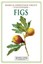 Figs Rare and Heritage Fruit Cultivars #13 by C Thornton 9781925110128