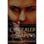 Concealed in the Shadows - Paperback NEW Gabrielle Arrow 2013-05-17
