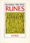 NEW Runes (Reading the Past) by R. I. Page