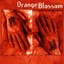ORANGE BLOSSOM - ORANGE BLOSSOM