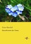 Haeckel, Ernst: Kunstformen der Natur