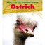 Ostrich (Day in the Life: Grassland Animals) Louise Spilsbury