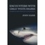 Encounters with Great White Sharks: Florida and the Gulf of Mexico John Hairr