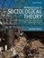 NEW Introduction to Sociological Theory Second Edition By Michele Dillon