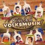 Various - Einfach Volksmusik! Folge 3