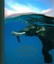 India's Elephants by Annette Bonnier (Hardback, 2014)