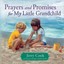 Prayers and Promises for My Little Grandchild - Hardcover NEW Jerry Cook 2012-07