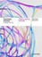 Educational Research: Creative Thinking and Doing by John O'Toole.
