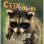 City Babies - Board book NEW Kristen McCurry 2007-08-01