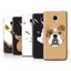 Stuff4 Hülle/Case/Backcover für Meizu M3S/Schnauzen