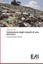 Valutazione degli impatti di una discarica Il caso di Cozzo Vuturo 2802