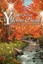 NEW Y by Yvonne C Freeman BOOK (Paperback / softback) Free P&H