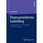 Prozessorientiertes Controlling: Konzeptualisierung, Determinanten und Erfolgswi