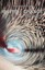 Waves of Change by Sabetti, Stephano -Paperback