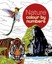 Colour by Number: Nature by Arcturus Publishing (Paperback, 2016)