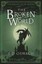 The Broken World The Ballad of Sir Benfro Book Four by J.D. Oswald 9781405917780