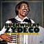 Buckwheat Zydeco - Lay Your Burden Down