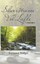 NEW Silwerstrome Vol Liefde: Volume 2 (Afrikaans Edition) by Raymond Bridges