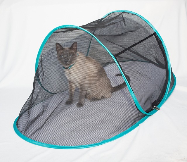 The Cat House Indoor Outdoor Portable Catio Enclosure Pet Tent for Yard